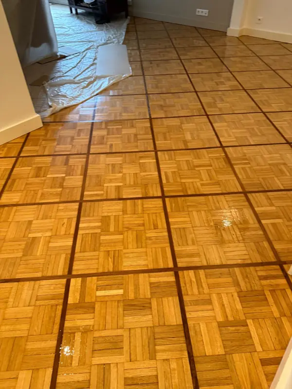 Mosaïque à filets : séjour et entrée